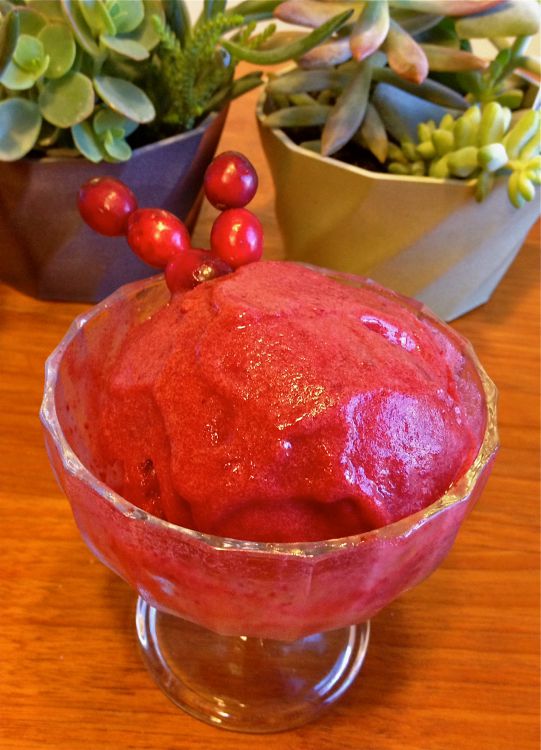 Cranberry Vanilla Sorbet