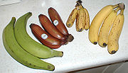 BananasandPlantains