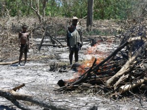 Vanilla Farmer & Son in Madagascar