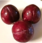 Plums-IMG_1247-150x150
