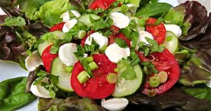 08-Caprese-Salad-2-IMG_3002