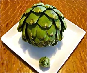 2-sizes-artichokes-IMG_3497