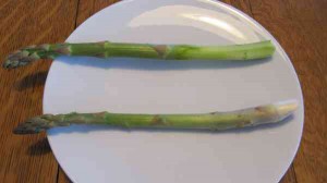 Asparagus peeled 2015-03-27 15.57.49